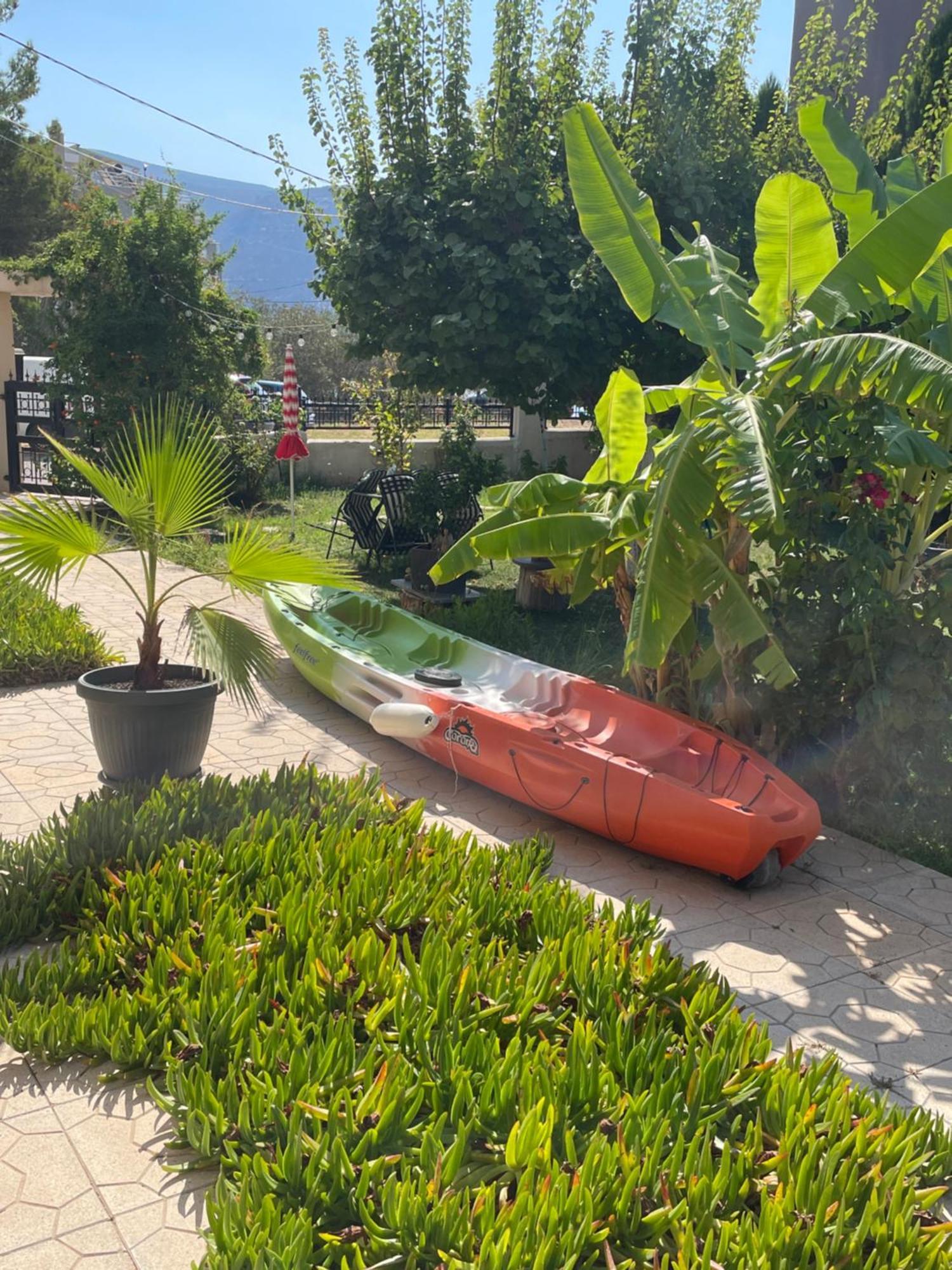 Sea View Studio Kirra エクステリア 写真